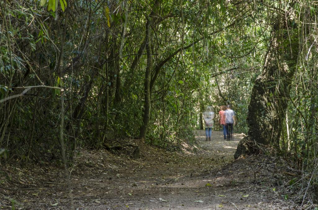Hotel Fazenda Villa Verona Serra Negra  Eksteriør billede